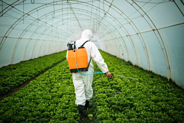 Best Best Pest Control Companies  in Valley Springs, CA
