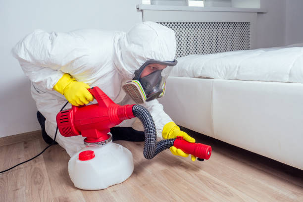 Best Mosquito Control Services  in Valley Springs, CA