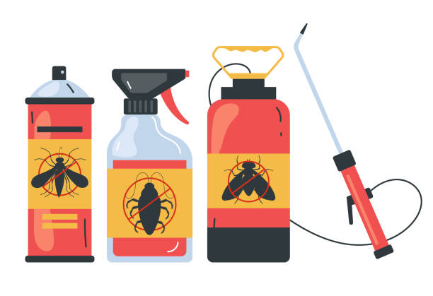 Best Local Pest Control Services  in Valley Springs, CA