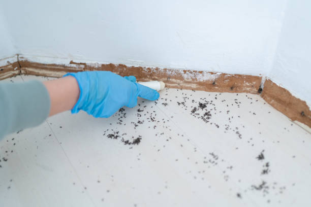 Best Wildlife Control Services  in Valley Springs, CA